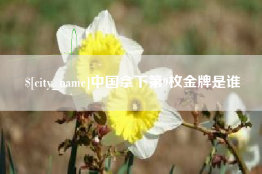 高安中国拿下第9枚金牌是谁