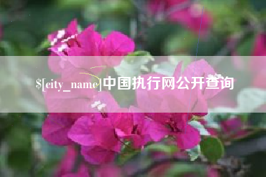 高安中国执行网公开查询
