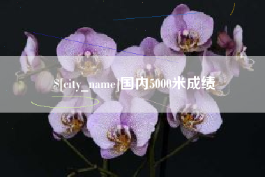 高安国内5000米成绩