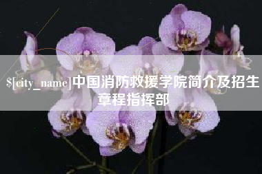 高安中国消防救援学院简介及招生章程指挥部