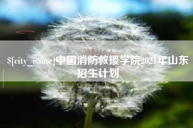 高安中国消防救援学院2021年山东招生计划