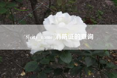 高安消防证的查询