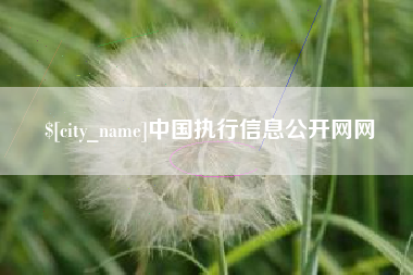 高安中国执行信息公开网网