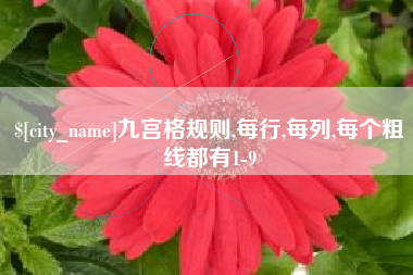 高安九宫格规则,每行,每列,每个粗线都有1-9