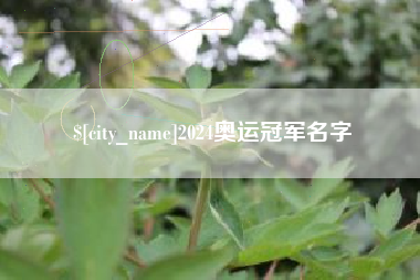 高安2024奥运冠军名字