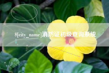 高安消防证初级查询系统