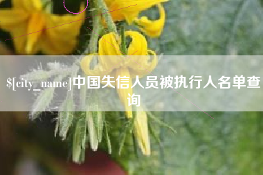 高安中国失信人员被执行人名单查询