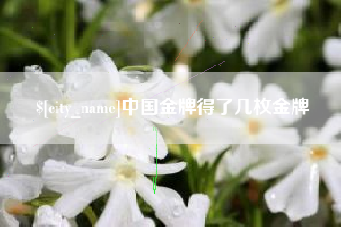 高安中国金牌得了几枚金牌