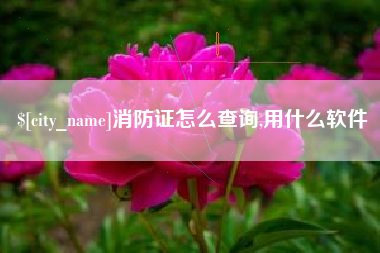 高安消防证怎么查询,用什么软件
