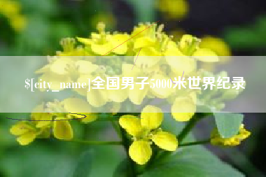 高安全国男子5000米世界纪录