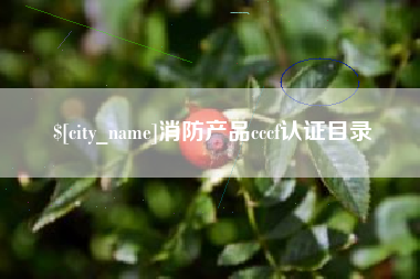 高安消防产品cccf认证目录