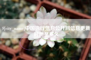 高安中国执行信息公开网信息更新时间是多久
