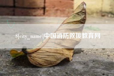 高安中国消防救援教育网