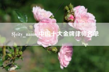 高安中国十大金牌律师名单