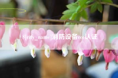 高安消防设备ccc认证