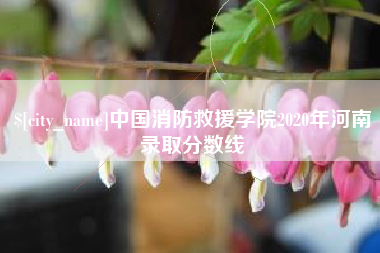 高安中国消防救援学院2020年河南录取分数线