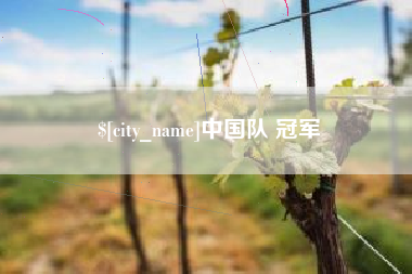 高安中国队 冠军