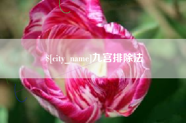 高安九宫排除法
