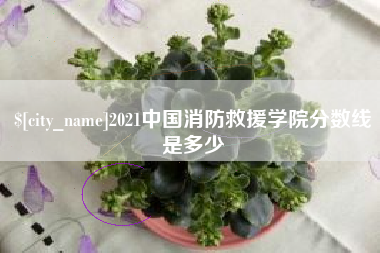 高安2021中国消防救援学院分数线是多少