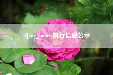 高安执行信息公示