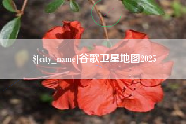 高安谷歌卫星地图2025