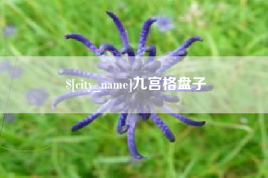 高安九宫格盘子