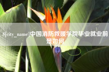 高安中国消防救援学院毕业就业前景如何