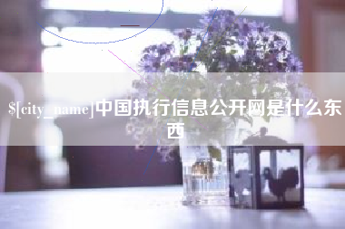 高安中国执行信息公开网是什么东西