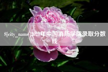 高安2021年中国消防学院录取分数线