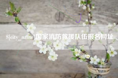 高安国家消防救援队伍报名网址