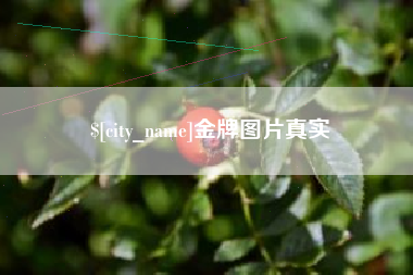 高安金牌图片真实