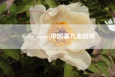 高安中国第九金回放