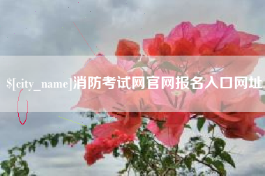 高安消防考试网官网报名入口网址