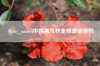 高安中国第九枚金牌是谁得的
