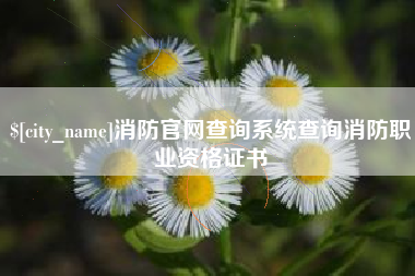 高安消防官网查询系统查询消防职业资格证书