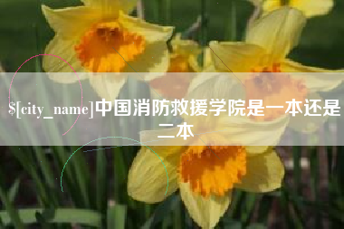高安中国消防救援学院是一本还是二本