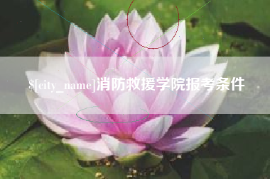 高安消防救援学院报考条件