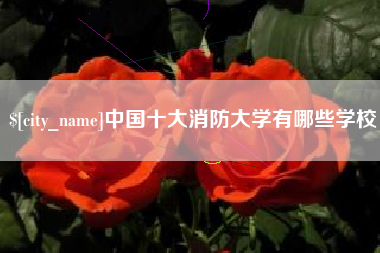 高安中国十大消防大学有哪些学校