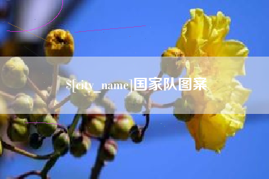 高安国家队图案