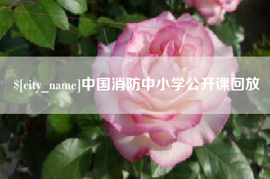 高安中国消防中小学公开课回放