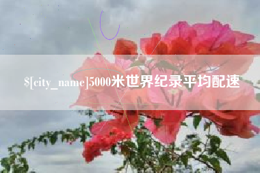 高安5000米世界纪录平均配速