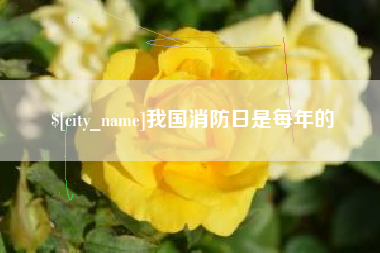 高安我国消防日是每年的
