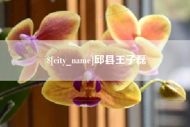 高安邱县王子磊