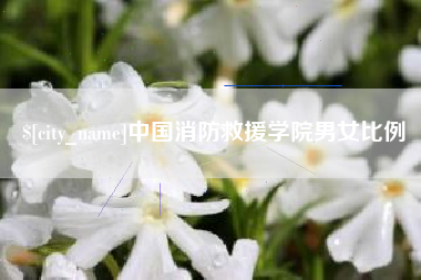 高安中国消防救援学院男女比例