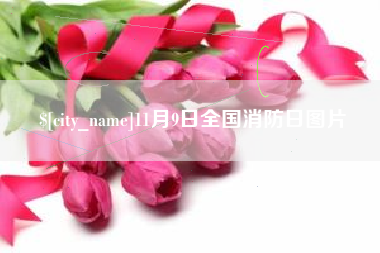 高安11月9日全国消防日图片