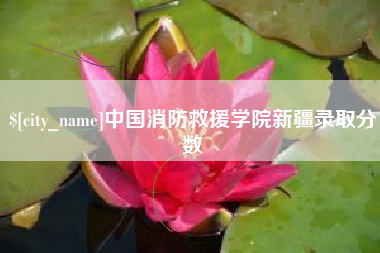 高安中国消防救援学院新疆录取分数