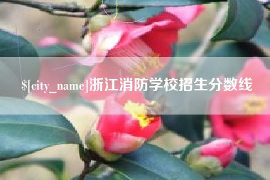 高安浙江消防学校招生分数线