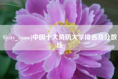 高安中国十大消防大学排名及分数线