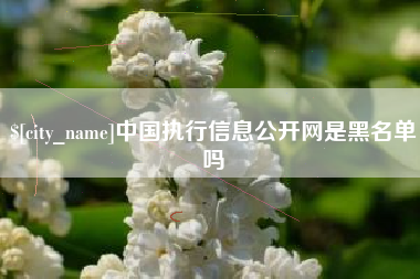 高安中国执行信息公开网是黑名单吗