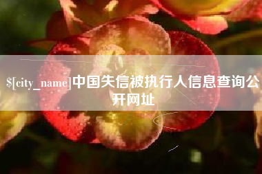 高安中国失信被执行人信息查询公开网址